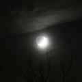DSC03573